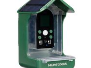Numaxes Vogelfutterstation mit Kamera - L 10 x B 11 x H 17 cm