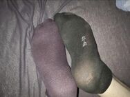 Socken ... 0-3 Tage getragen - Mainburg