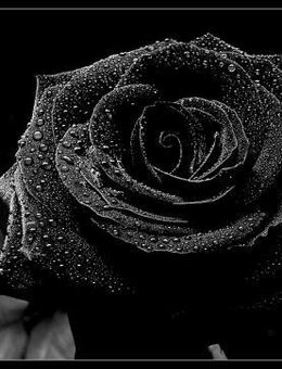 Junggebliebener - Bad Salzuflen