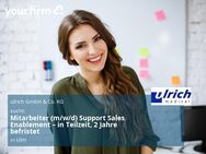 Mitarbeiter (m/w/d) Support Sales Enablement – in Teilzeit, 2 Jahre befristet - Ulm