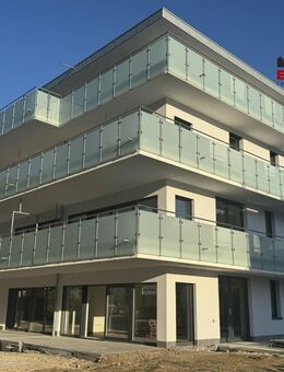 Wohnen Am Park - 2,5-Zimmerwohnung im EG mit großem Garten und Terrassen in Süd-Ausrichtung - Deggingen