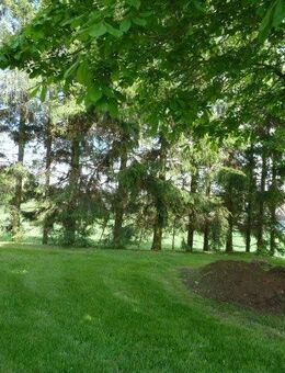 Ehemaliges Bauernhaus mit Scheune und Garage - Eppendorf