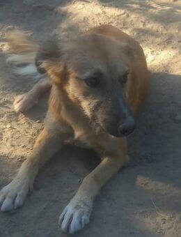 𝗟𝗨𝗡𝗔 🩷 - Markkleeberg