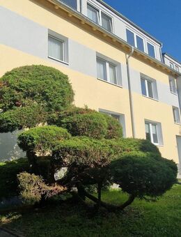 Schöne sanierte Ein Zimmer Wohnung nähe der Universität Dortmund - Dortmund