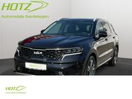 Kia Sorento, 2.2 D DCT8 Paket, Jahr 2025 - Gardelegen (Hansestadt)