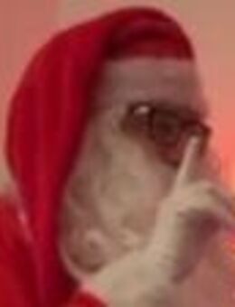 Nachbarschaftshilfe - Weihnachtsmannservice - kostenlos von privat für privat - kein Gewerbe! - Halle (Saale)