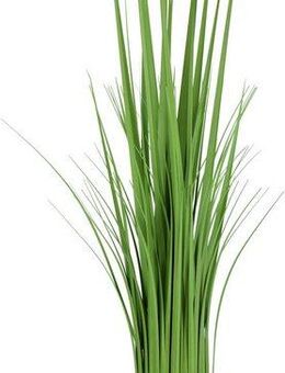Kunstpflanze Grasbund, I.GE.A., Höhe 70 cm
