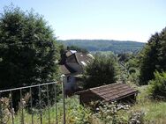 Stadtnahes Einfamilienhaus mit Einliegerwohnung und Garage in Waldrandlage - Bad Brückenau