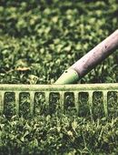 Mehrere Landschaftsgärtner ( m/w/d )ab sofort bei attraktiver Bezahlung gesucht. in 94486