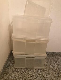 3 Xxl Kisten mit Deckel - Bühl