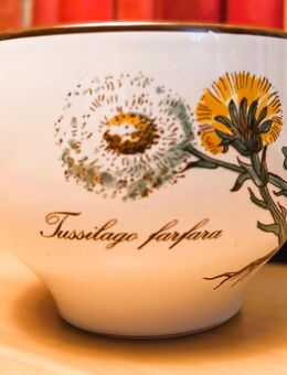 Villeroy & Boch - Botanica Collektion Tasse (?) ohne Henkel - Prien (Chiemsee)