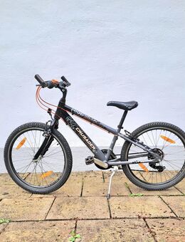 PUKY Kinderrad fahrrad rad 24 zoll 89€ - Gräfelfing