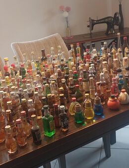 Große Sammlung Mini bottle - Münster