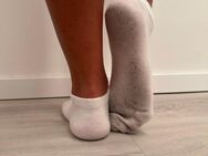 ⭐️ Getragene Sneaker Socken 🧦 - Größe. 36 - Zierliche exotische Schönheit ⭐️ - München