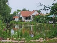 Interessantes Haus, Landhaus mit Schwimmteich südlich des Balatons (ca. 20 km) - Kämpfelbach
