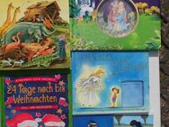 Kinderbücher Jugendbücher 60 Bücher zusammen nur 5,- Krabat TKKG Süderhof Hitchcock Kinderbibel Tom Sawyer Ravensburger dtv Junior Carlsen Arena Beltz&Gelberg Loewe Schneider usw.Duden usw. - Flensburg