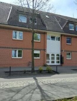 4- Raumwohnung Senftenberg - Senftenberg