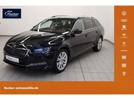 Skoda Superb, 1.5 TSI Combi Style, Jahr 2024 - Amberg