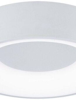 Paulmann LED Deckenleuchte Selection Bathroom Casca IP44 1x16W 300mm, 230V Metall/Kunststoff, LED fest integriert, Tageslichtweiß, WhiteSwitch