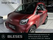 smart EQ fortwo, PRIME EXCLUSIV, Jahr 2023 - Köln