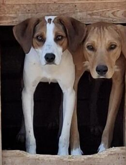 Pünktchen und Anton - Weilmünster