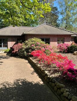 Seltene Gelegenheit: Qualität, Energieeffizienz und perfekte Lage - Ihr Zuhause zum Wohlfühlen! - Salzhausen