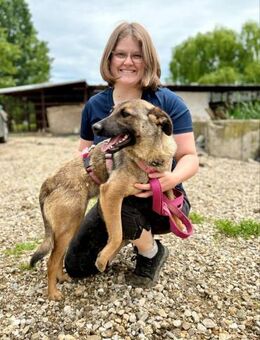 Eika wurde aufgegeben 🐾 - Elsdorf (Nordrhein-Westfalen)