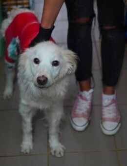 wunderschöne, liebe MAGGIIE - Kallmünz