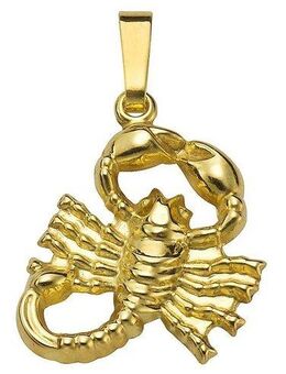 Firetti Sternzeichenanhänger Schmuck Geschenk Gold 333 Halsschmuck Anhänger Halskette Sternzeichen