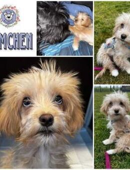 EMMCHEN * kleine Süßigkeit 🍭 - Duisburg