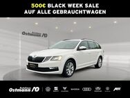 Skoda Octavia, Combi Tour 85kw, Jahr 2020 - Niestetal