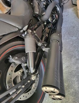 Harley Davidson Night Rod Special Edition - Berlin