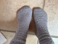 Suchst du gebrauchte Socken oder Unterwäsche zum schnüffeln? - Esslingen (Neckar)