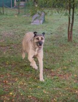 SILA - aktiv jeden Tag erleben - Overath