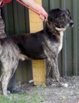 Arnulf - menschenbezogen und aktiv - Marktleugast