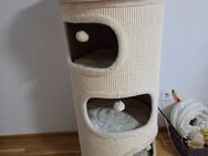 Katzen Kratztonne - Wiesbaden Kastel