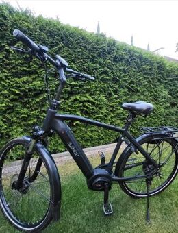 E - Bike LPM E1 SP Bosch Performance Line Cx - Lingen (Ems)