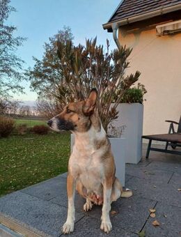 Hanuta wo Liebe still beginnt und ... - Kissing