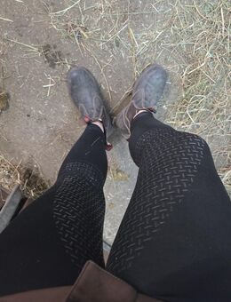 Verkaufe getragene Reithosen - Hamburg Altona