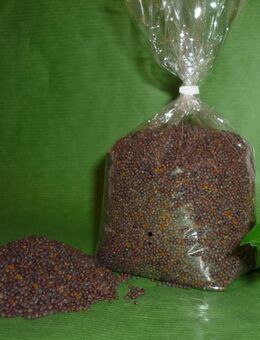 Senfsaat schwarze oder gelbe Bio Senfkörner 450g Thüringen - Görlitz Zentrum