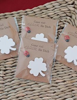 ab 2,20 € ... Gastgeschenk Glücksbringer Kleeblatt Marienkäfer Geschenk Keraflott - Rheinbach