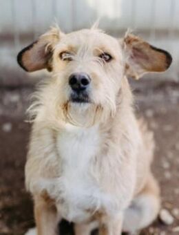 Verschmuste, liebe Lilli - Kallmünz