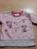 Süser Pullover gr. 74 topolino in 49082