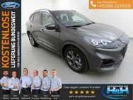 Ford Kuga 2.5 FHEV Hybrid ST-Line X AHK+LED+iACC - Premnitz