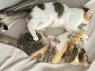 Hanny und Nanny warten schon auf dich - München