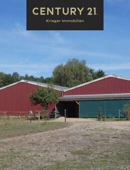 Pferdefreunde aufgepasst - neuwertiges Haus, Stall und Halle im schönen Wendland - Prezelle