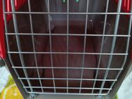 Transportbox Katzen 🐱 🐱 - Lengerich (Nordrhein-Westfalen)