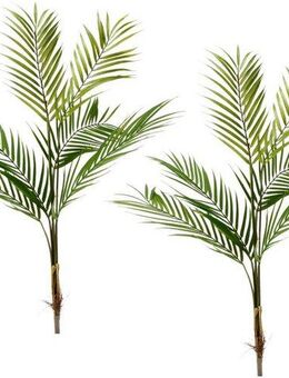 Kunstblume Palmzweig, I.GE.A., Höhe 80 cm, 2er Set