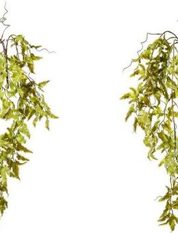 Kunstranke Lygodiumhänger Farn, Creativ green, Höhe 65 cm