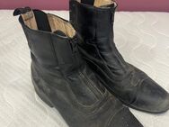 Reitstiefeletten / Stallschuhe - Kassel